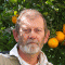 Bild von Hans Meijer