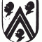 Foto van de gebruiker