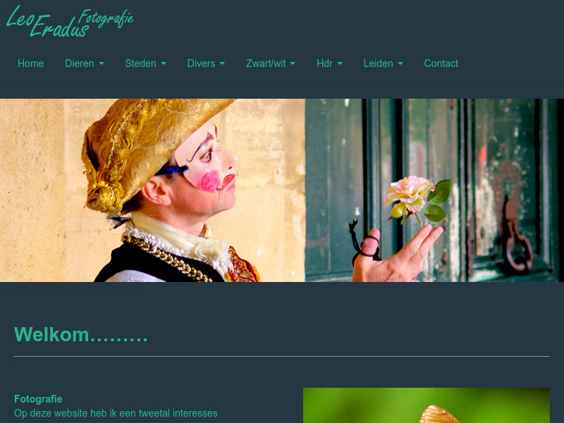 Screenshot van website