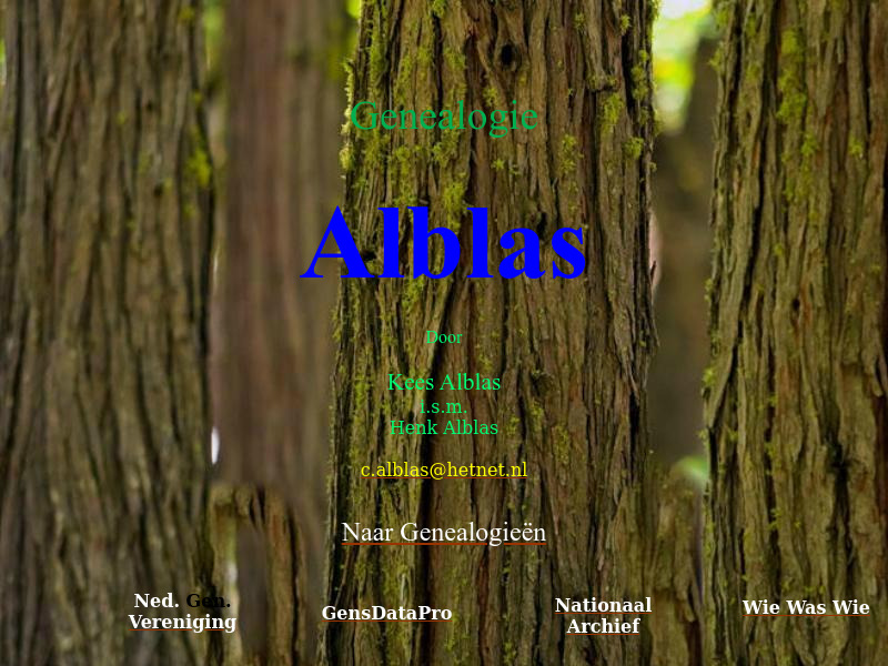 Screenshot van website