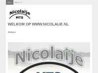 Screenshot van website
