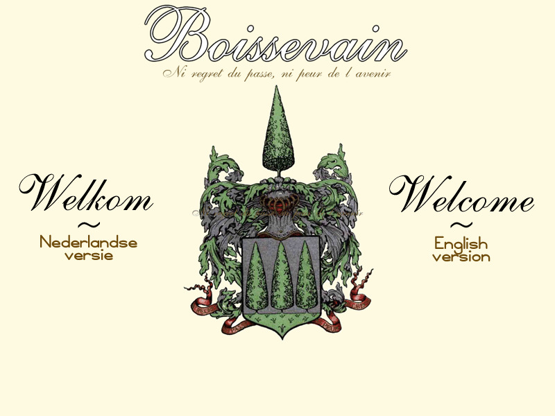 Screenshot van website