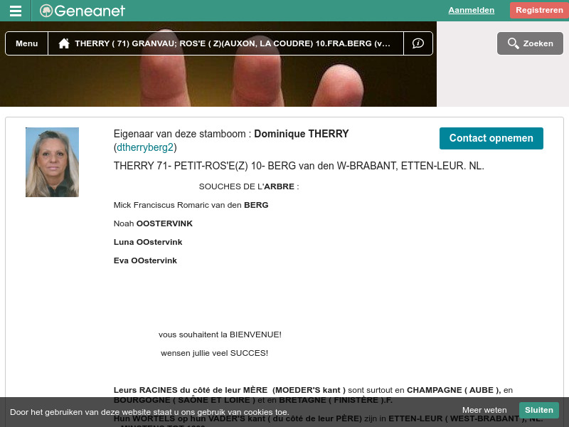 Screenshot van website