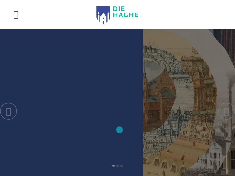 Screenshot van website